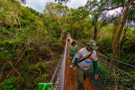 Com sete pontes suspensas e passarela elevada, a Trilha do Ararapira garante acesso seguro e de baixo impacto em áreas sensíveis da Mata Atlântica. Foto: Divulgação/Parna do Superagui 