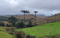 Parques Nacionais de Aparados da Serra e da Serra Geral recebem mais 1.654 hectares regularizados