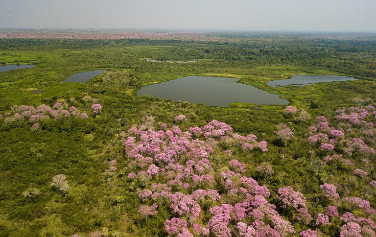 RPPN NEIVO PIRES II SITE.jpg