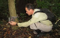 Pesquisa coleta 120 mil registros fotográficos de 29 espécies de animais silvestres para avaliar impactos da caça de subsistência na Amazônia