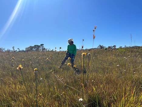 Dra. Suelma pesquisando em campo úmido - Foto: M. Medeiros