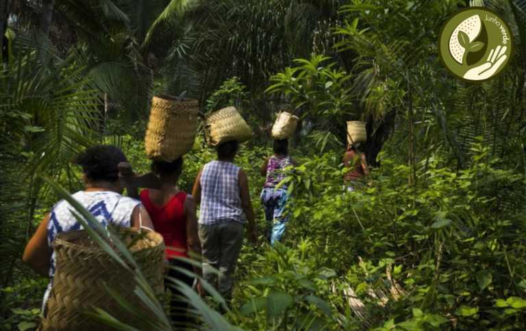 Criar uma unidade não é um processo simples. São anos de trabalho, ciência e participação social, a fim de garantir a manutenção da biodiversidade e qualidade de vida as presentes e futuras gerações