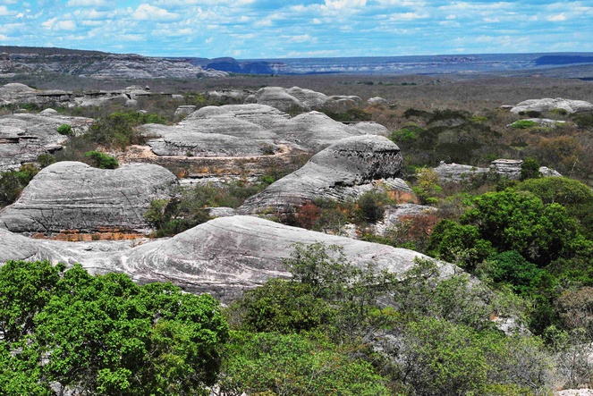 Vista aérea do Parque Nacional da Serra das Confusões - Foto: Nelson Yoneda 