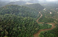 Primeira reserva biológica do Brasil completa meio século de proteção integral de Mata Atlântica no Rio de Janeiro