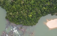 Primeiro parque nacional da Amazônia brasileira celebra 50 anos de preservação da biodiversidade