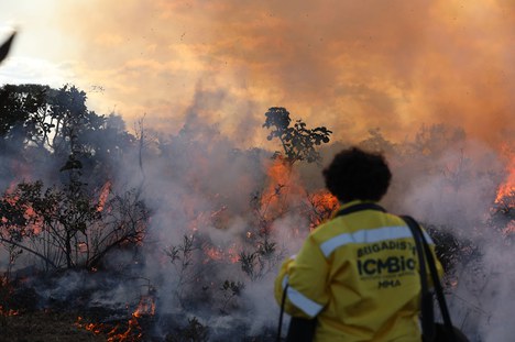 Foto: Anna Beatriz/ICMBio