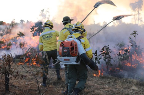 Foto: Anna Beatriz/ICMBio