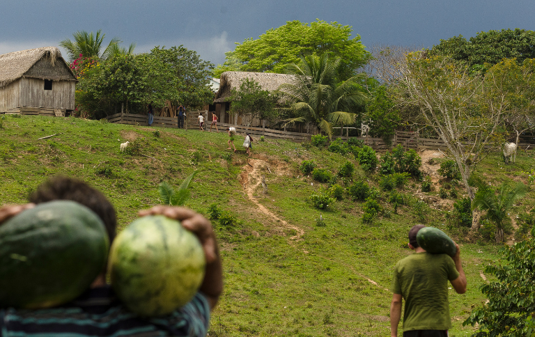 SITEAurelice Vasconcelos.png