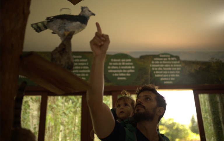 Capa - Nico Ferri por CI-Brasil1.jpg