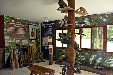 Exposição interpretativa no centro de visitantes do Parque Nacional do Pau Brasil - Foto: Adriano Gambarini/WWF Brasil 