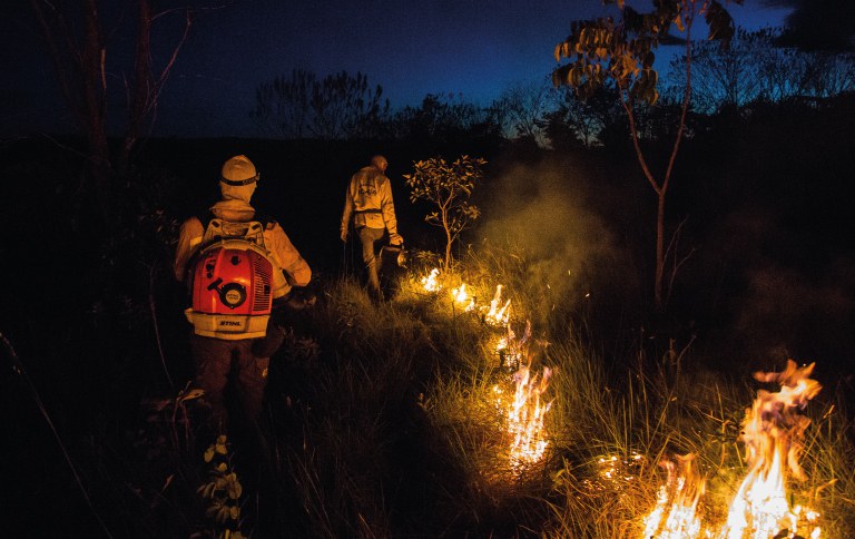 fOTO-PARA-SITE-MANEJO-2 (1).jpg