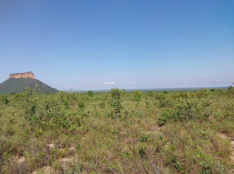 Loteamento Ponte Alta com área de 1.245,7703 hectares de propriedade da +Terra, área particular transferida para o ICMBio via doação antecipada - Foto: Bárbara Silvestre Ferraz
