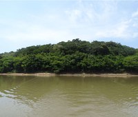 Regularizados mais 1907 hectares em Unidades de Conservação por doações para compensação de Reserva Legal
