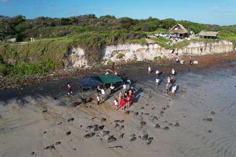 Foto: Elerson Alves / RARE Brasil
