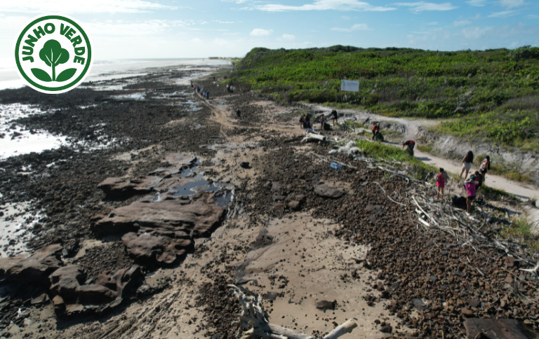 SITE Maria Augusta de Jesus Lima.NGI Salgado Paraense.png