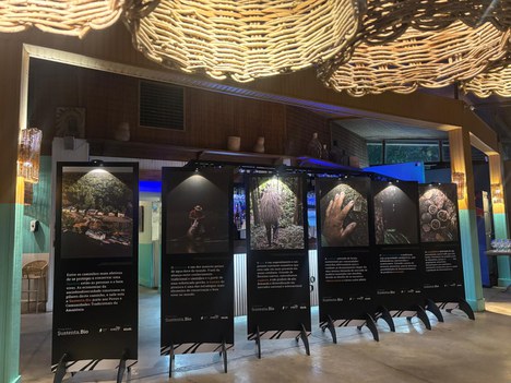A exposição valorizou as cadeias produtivas fortalecidas - Foto: Divulgação/ICMBio