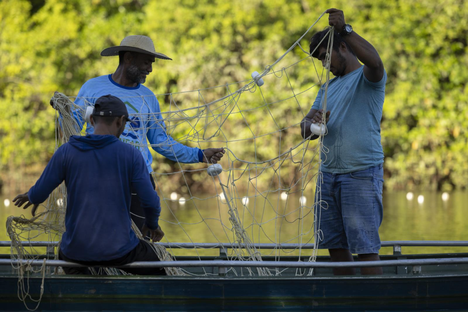 A partir de uma sofisticada gestão, o manejo do pirarucu é uma das estratégias mais eficientes de conservação e bem viver no mundo - Foto: Divulgação/Vale