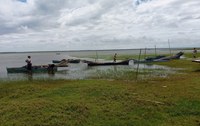 Temporada anual da pesca artesanal do camarão-rosa é iniciada na Lagoa do Peixe