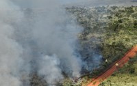 Três Unidades de Conservação no Cerrado iniciam queimas prescritas