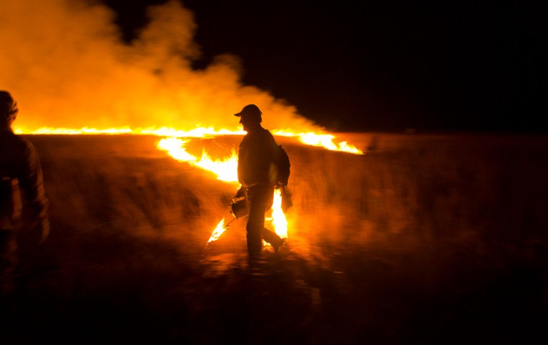 Incendio_Esec_SerraGeralTocantins_Aurelice-Vasconcelos (48)_banner.jpg