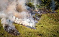 Unidades de conservação fecham 2023 com quase 270 mil hectares em áreas manejadas para prevenção de incêndios