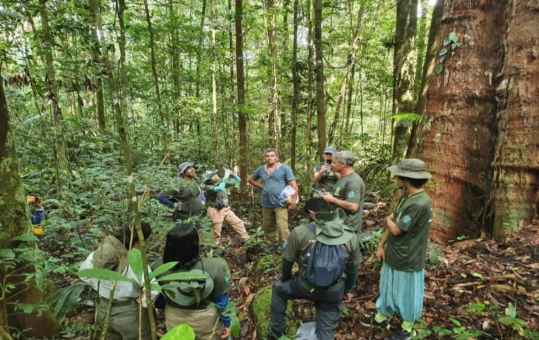 Montanhas do Tumuc_MarinaKluppel2 (1) (1).jpg