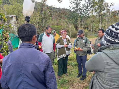 Foto: João Morita/ICMBio