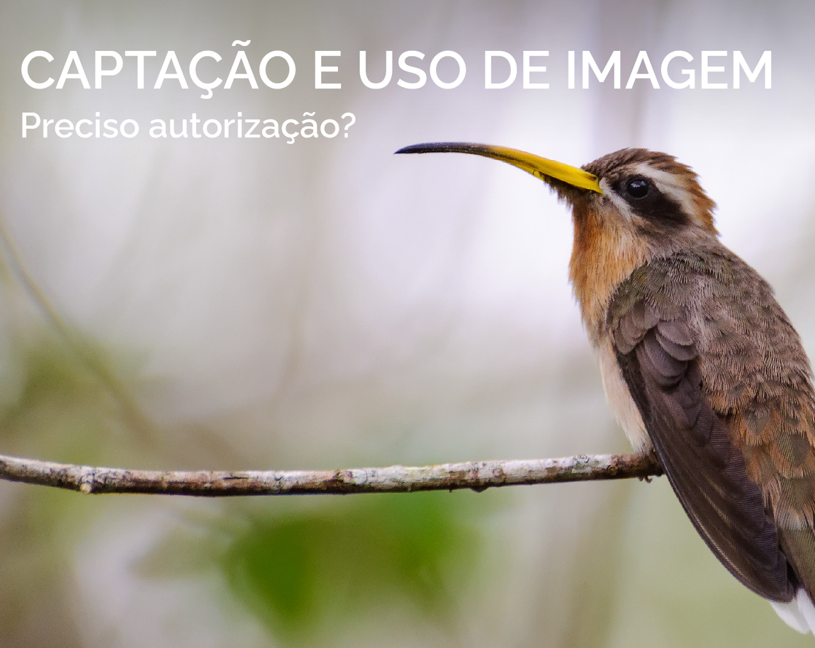 Captação e uso de imagem