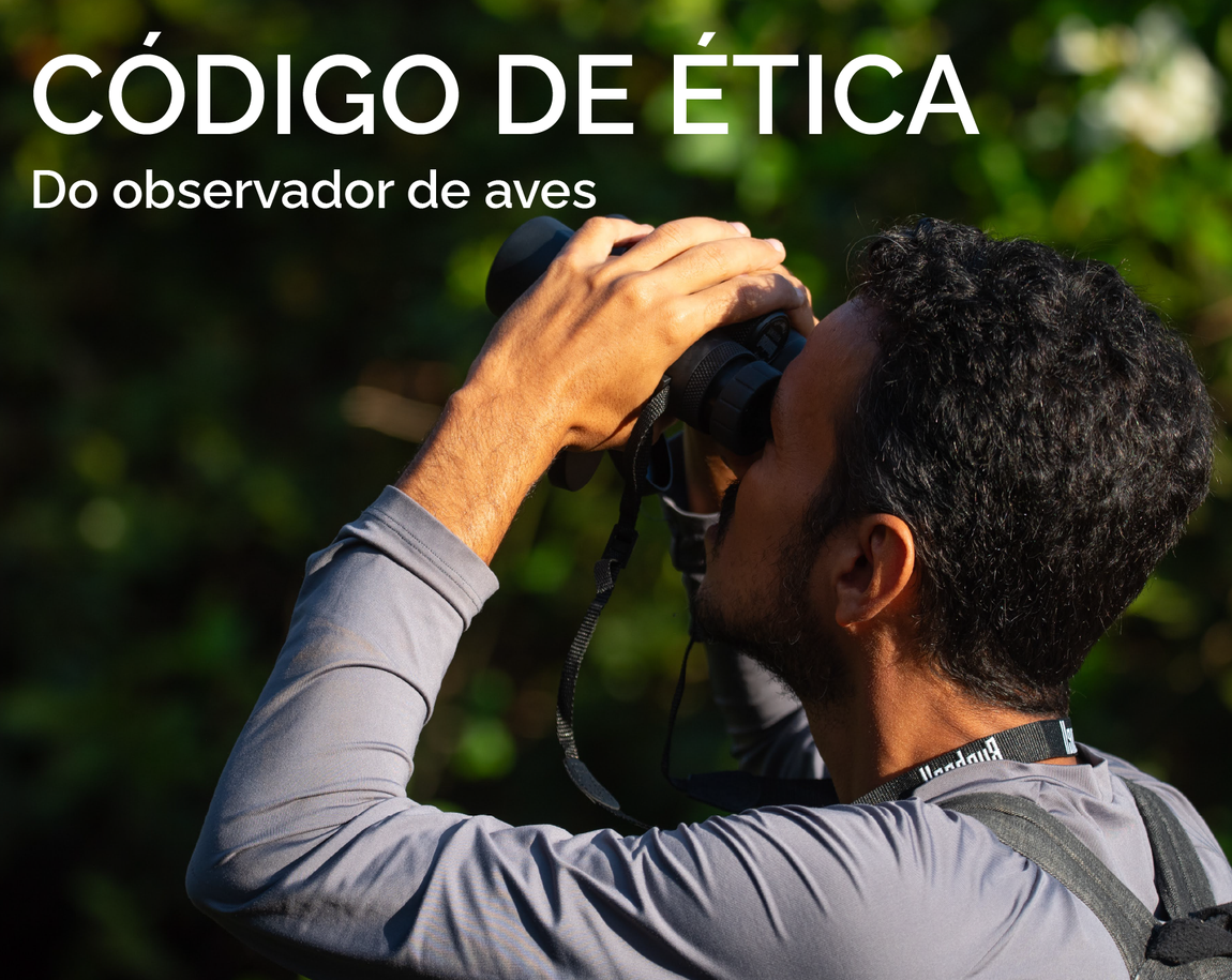 Código de ética