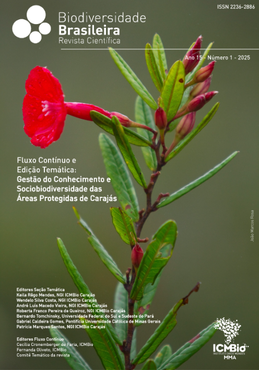 Capa Carajás