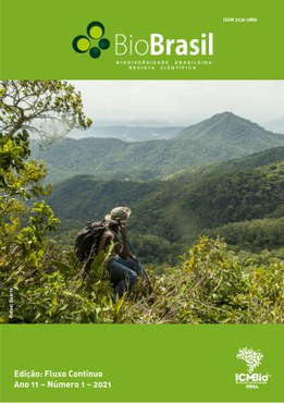 Fluxo contínuo 2021