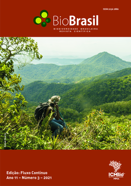 Fluxo contínuo 2022 2