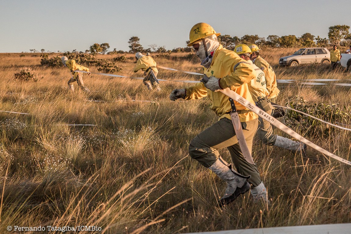 parna_chapadadosveadeiros_Fernando Tatagiba-29.jpg