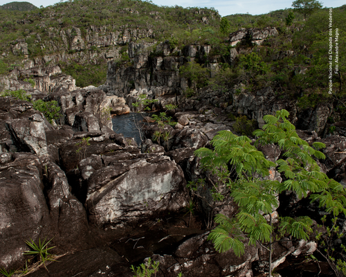 Chapada dos Veadeiros