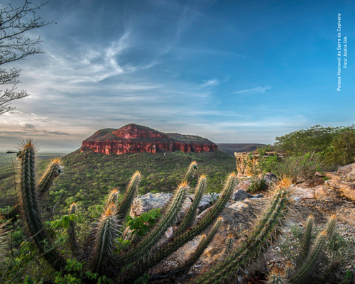 serra da capivara