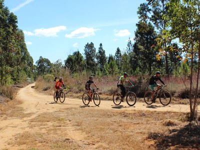Floresta_Nacional_de_Brasília_-_Danúbia_Melo_39.jpg