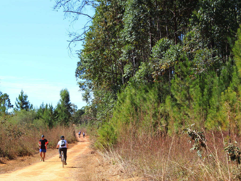floresta_nacional_de_brasilia_danubia_melo_33.jpg