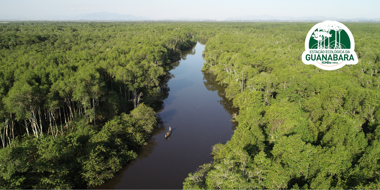 Manguezais e Biodiversidade
