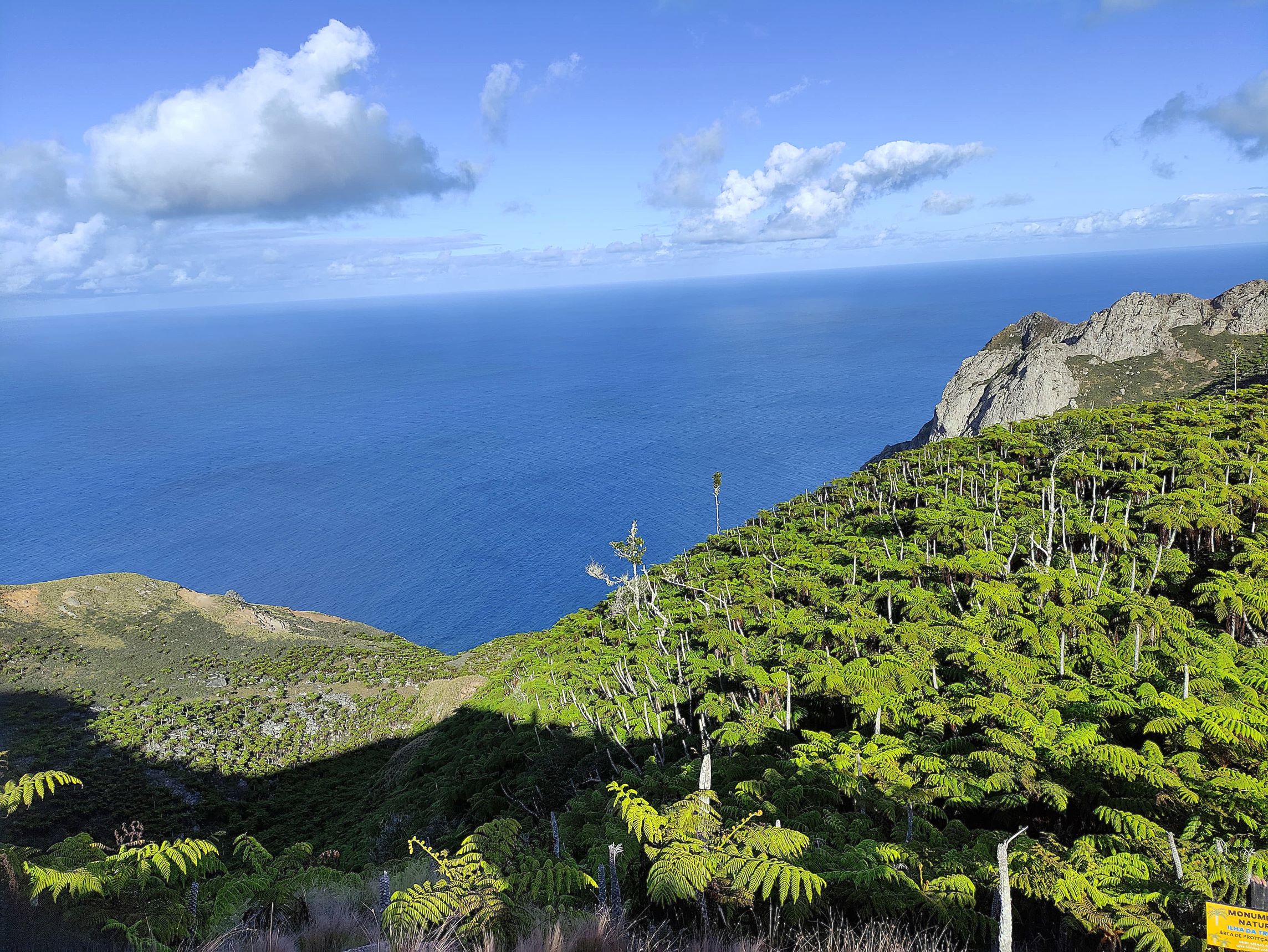 Ilha da Trindade