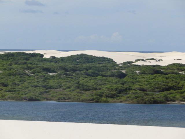 Pólo Oasis