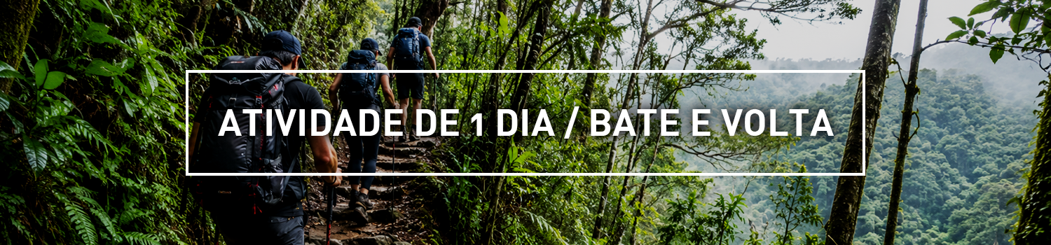 ATIVIDADE_1_DIA.png