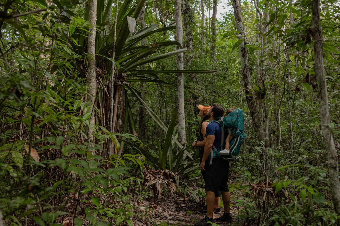 VISITE O PARQUE NACIONAL DO PAU BRASIL