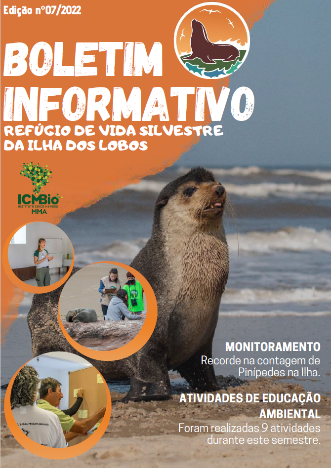 Boletim 07.png