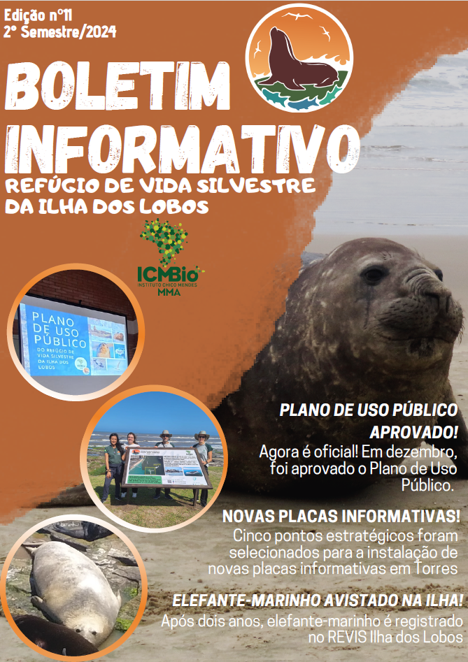 cap ed 11 boletim.png