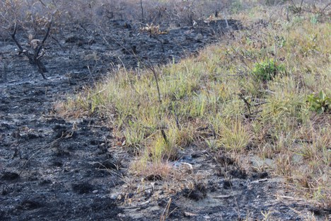 Incêndio no PNB 8 e 9-9-2022 -Fagner Lacerda (34).JPG