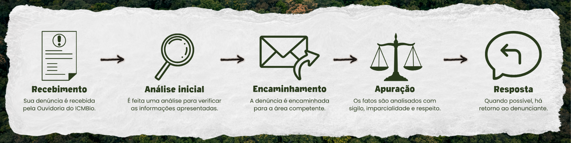 fluxo denúncia.png
