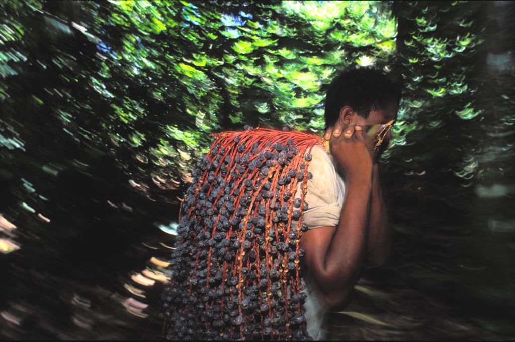 01 resex riocajari semdata