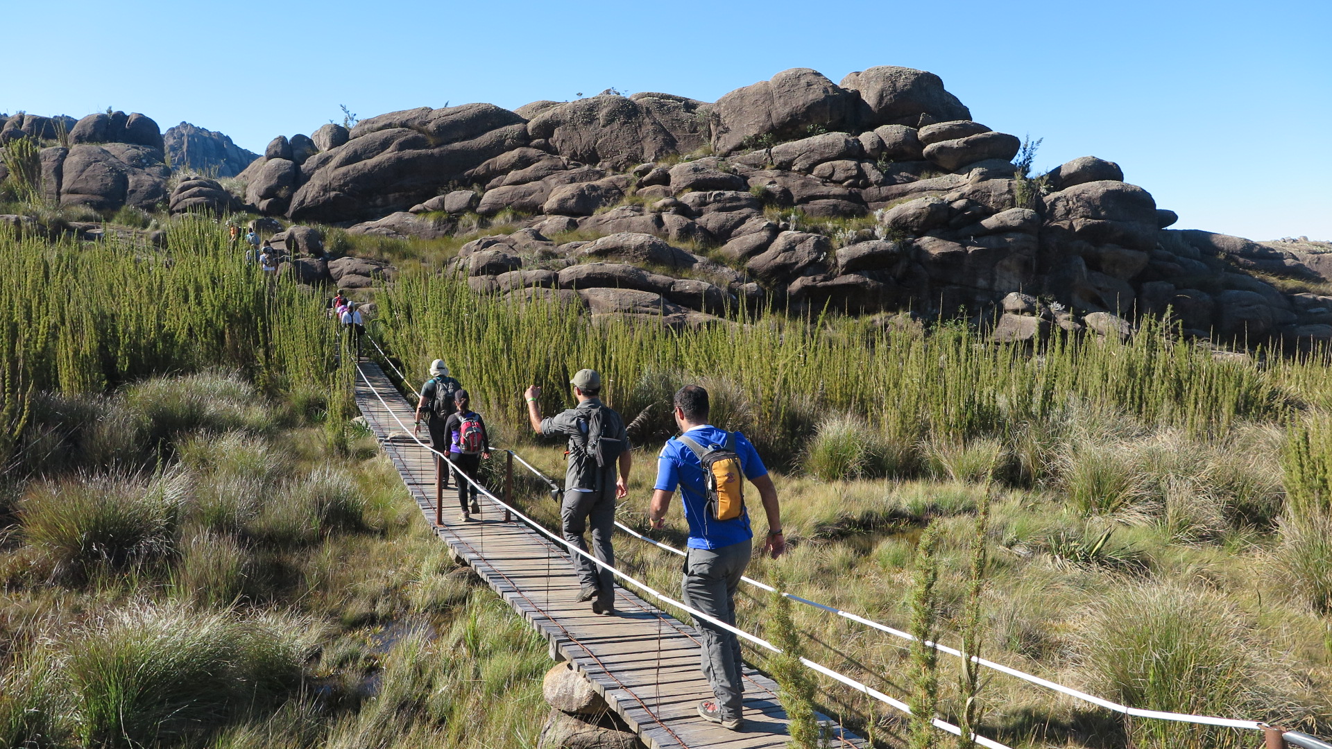 Foto: Carla Guaitanele