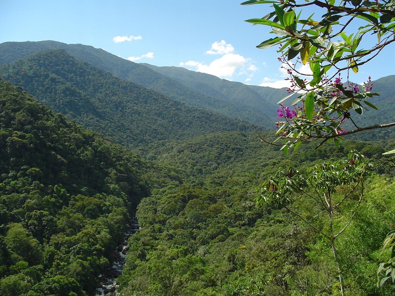 03 parna itatiaia 2005