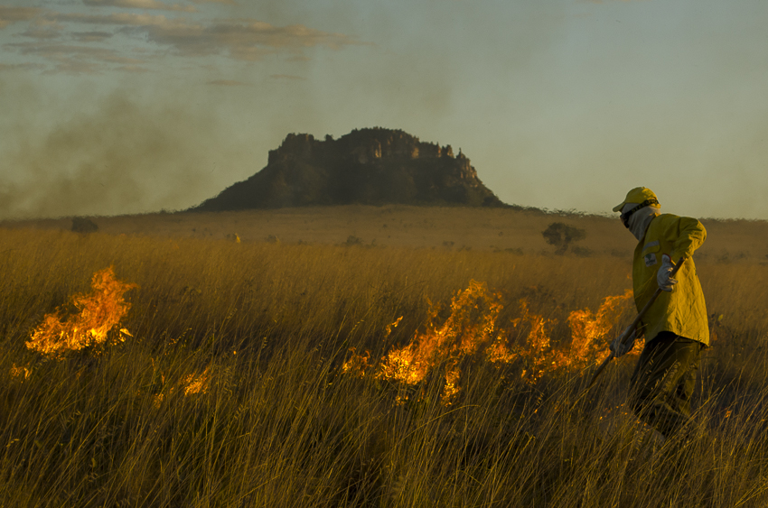 04 FogoJalapao AureliceVasconcelos04